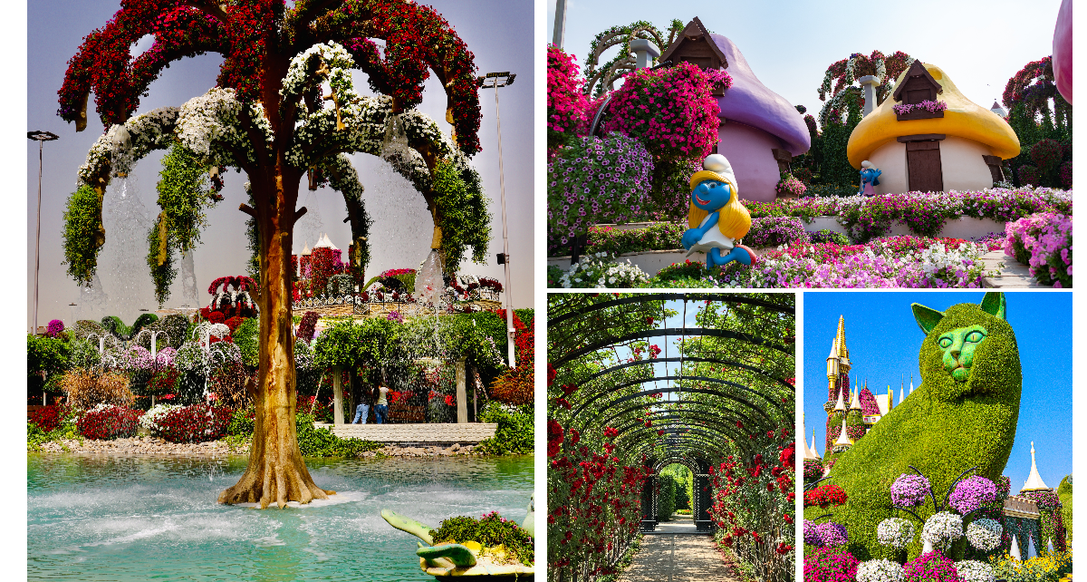 Dubai Miracle Garden Ticket with Global Village & Transfer (Private)
