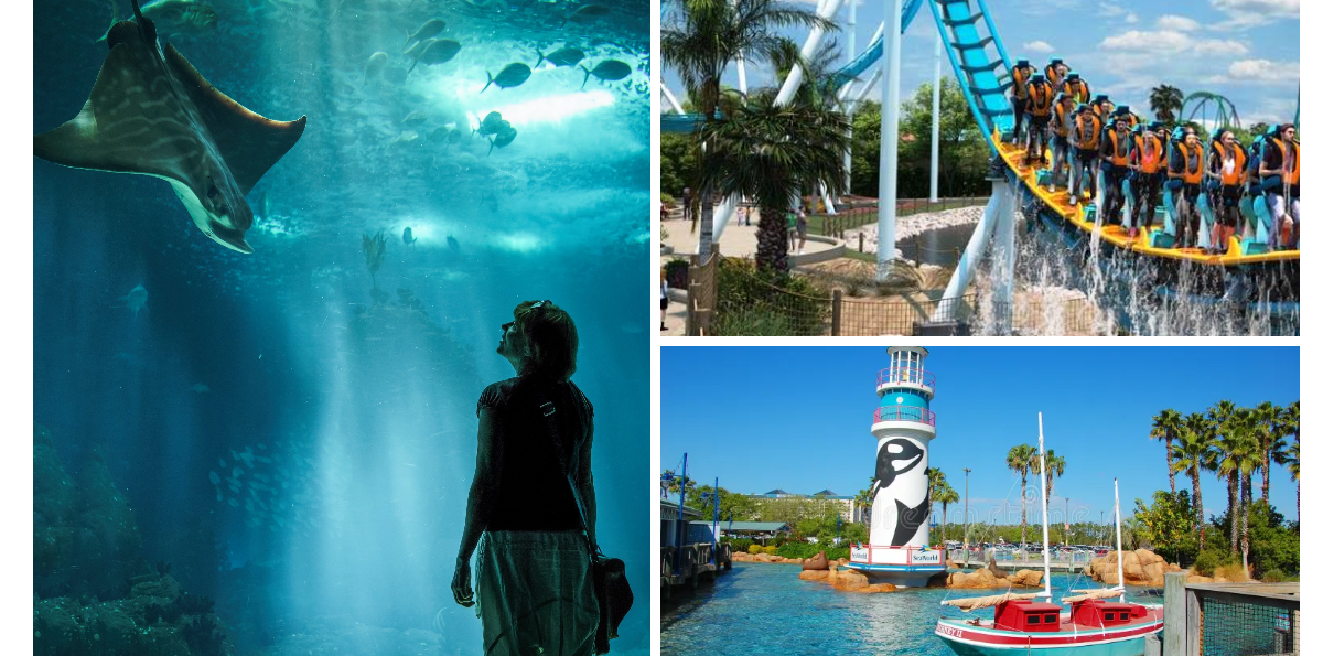 SeaWorld Abu Dhabi Tickets with Transfer. (Private)