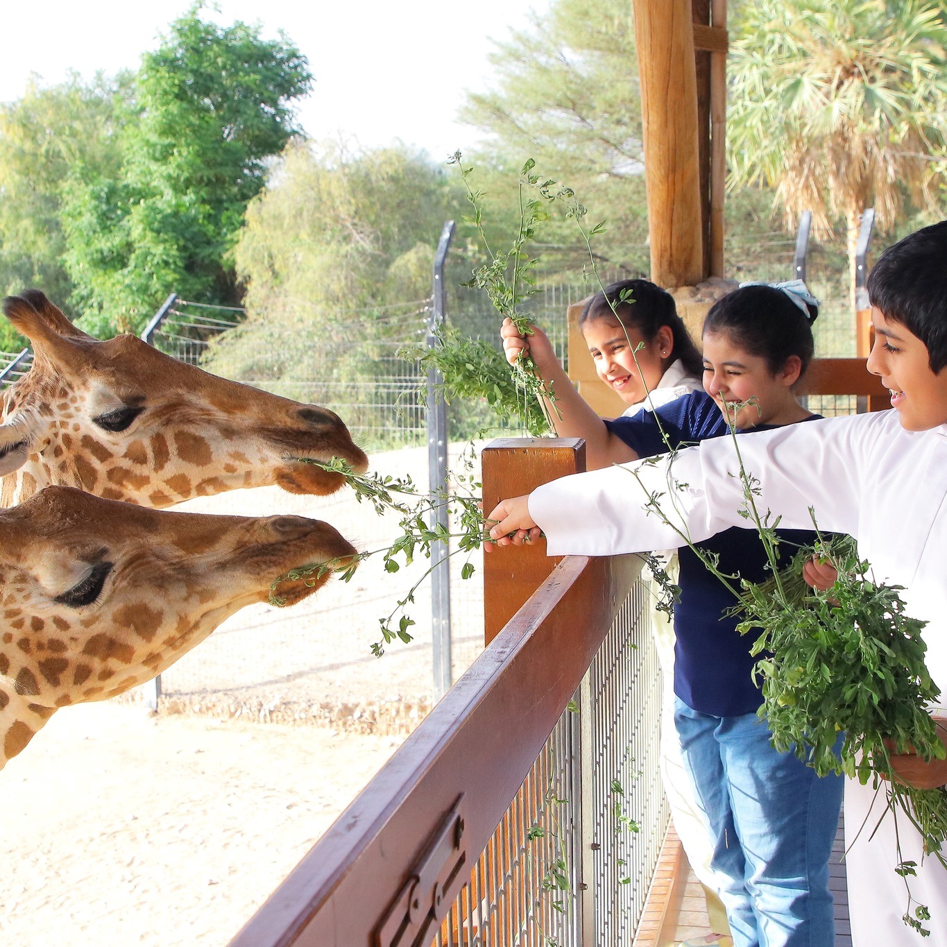 Al Ain Zoo (ENTERTAINER TICKET)