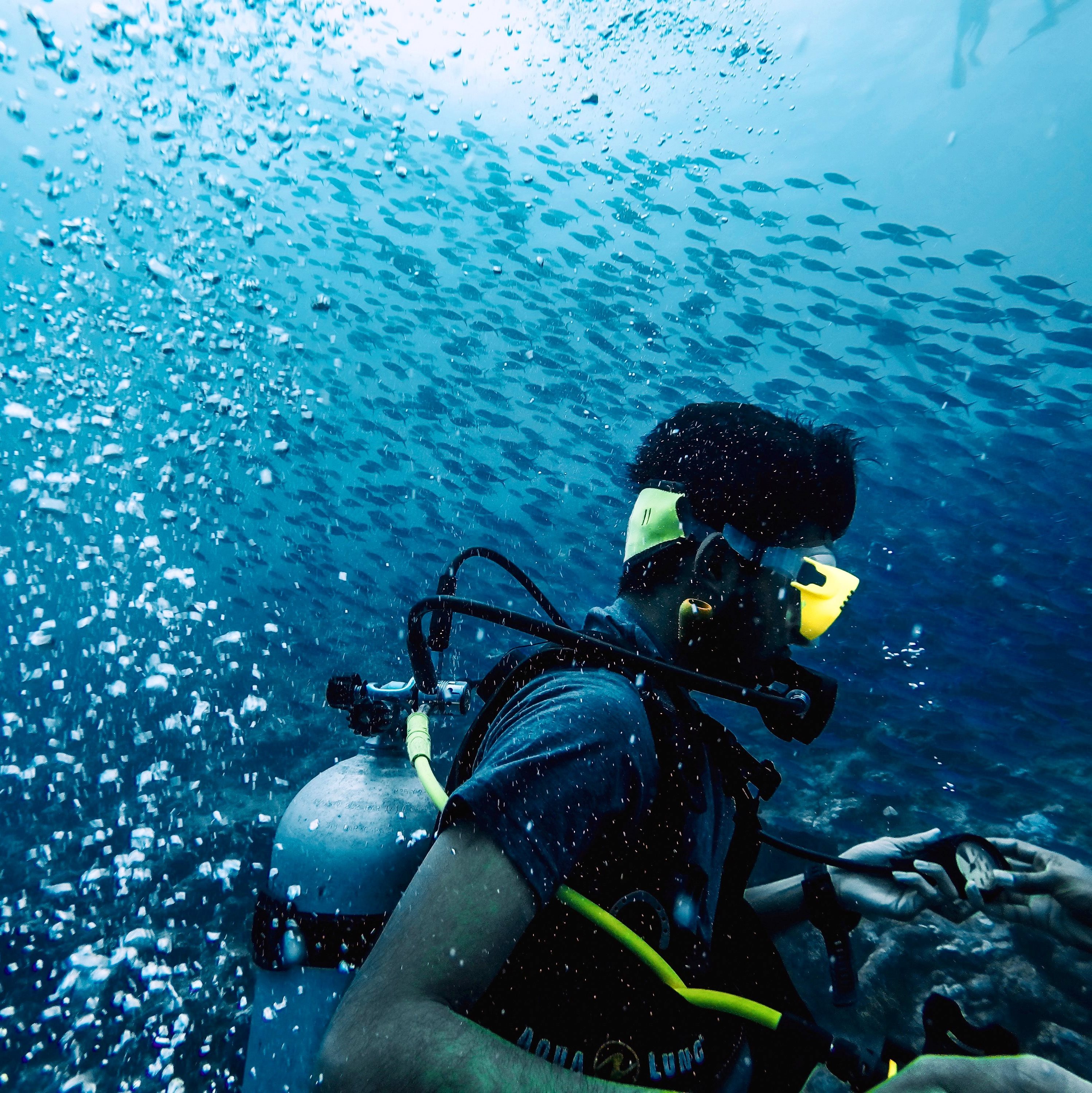 Discover Scuba Diving in Dibba Al Fujairah