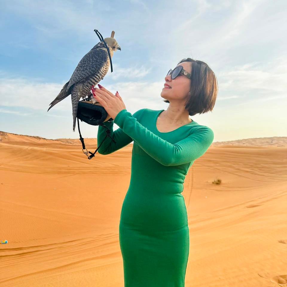 Dubai: Falcon Desert Safari