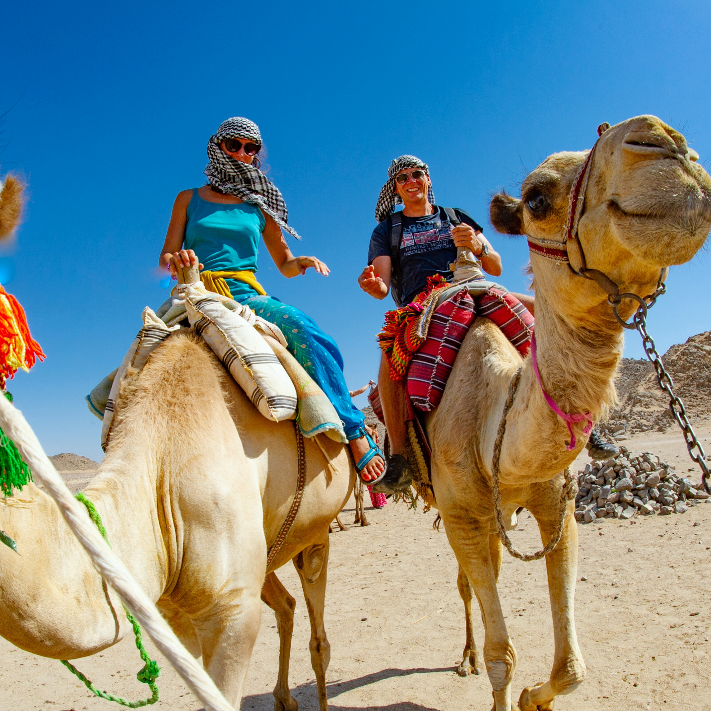Dubai: Camel Ride Morning Desert Safari